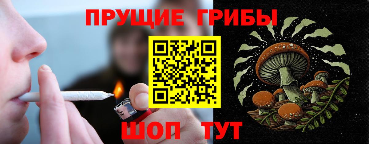 Псилоцибиновые грибы мицелий Усть-Джегута